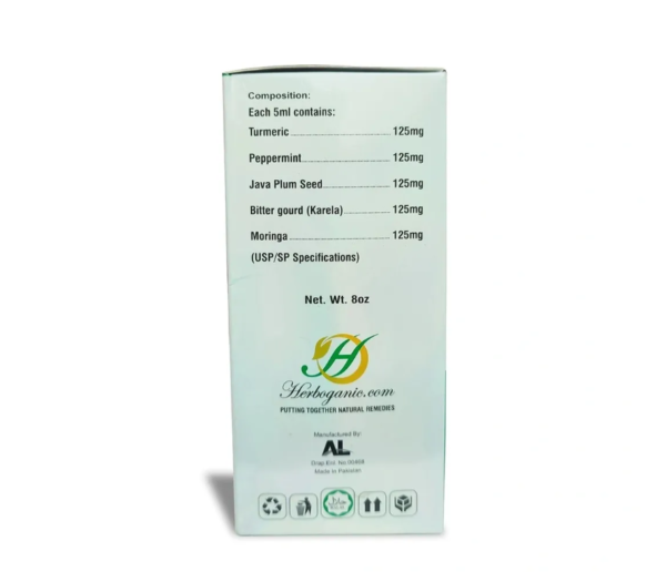 Blood Sugar Support Syrup - 8oz - Image 4
